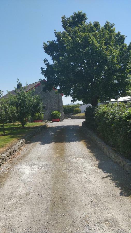 Tig Rua Villa Killarney Dış mekan fotoğraf